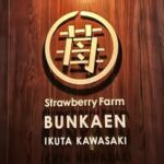 strawberry  farm BUNKAEN